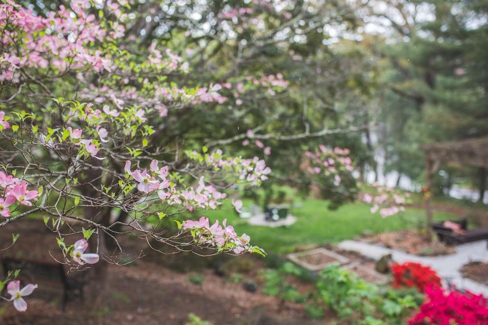 The Applewood Manor Bed & Breakfast Asheville Bagian luar foto